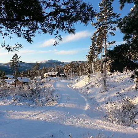 Chalet Eidstod