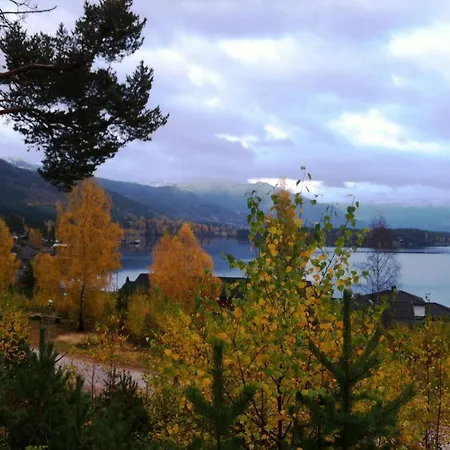 Eidstod Vradal