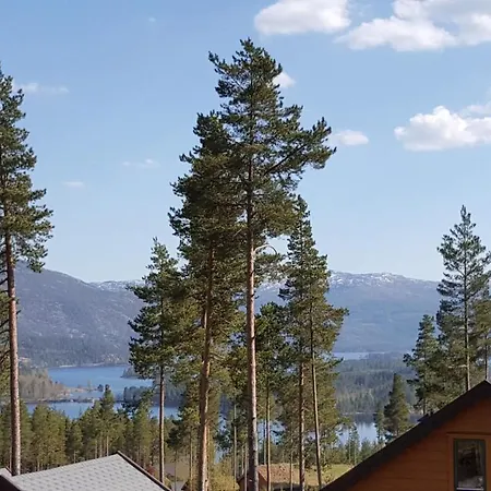 Eidstod Vradal