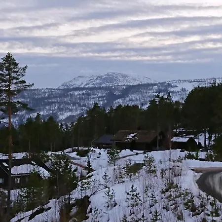 Eidstod Σαλέ Vradal